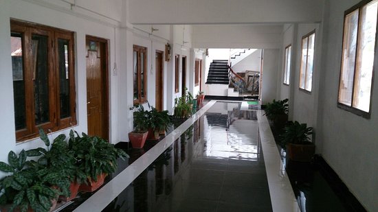 HOTEL AVIS