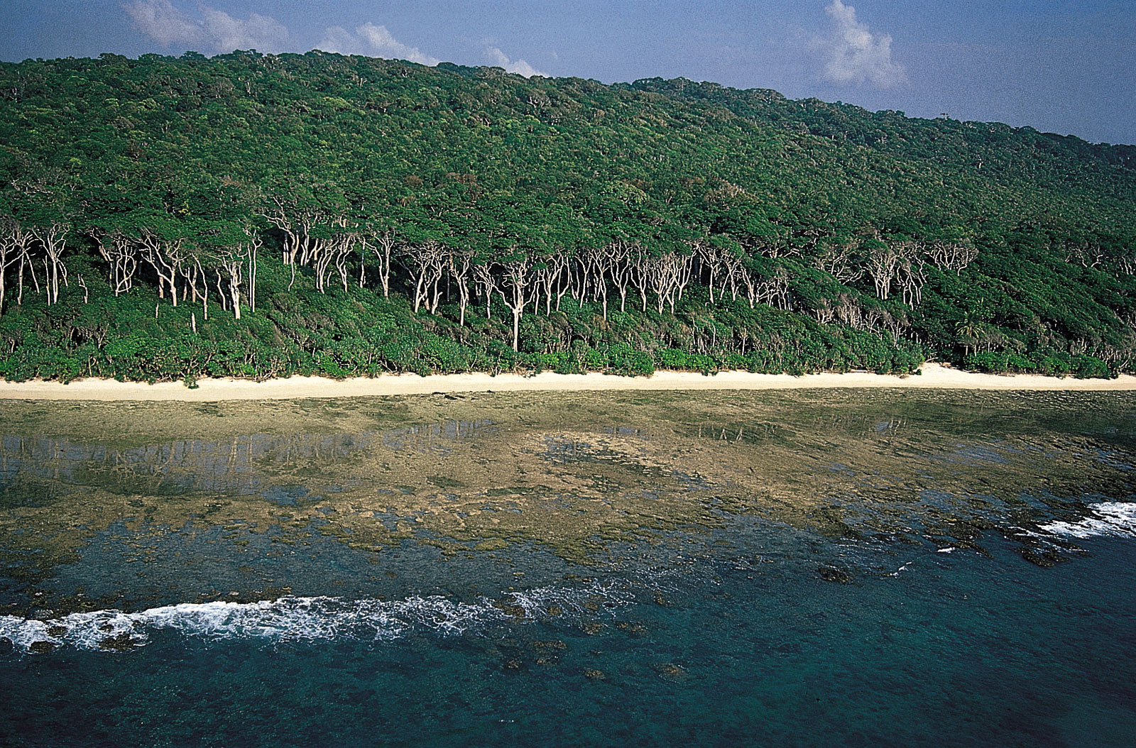 Interview Island