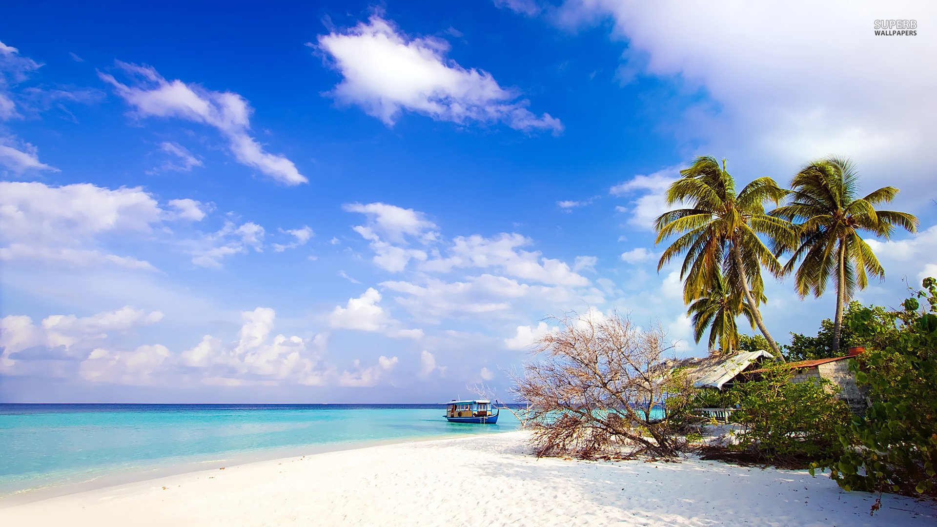 PATHI LEVEL BEACH