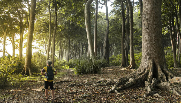 Trekking in Panchvati Hills
