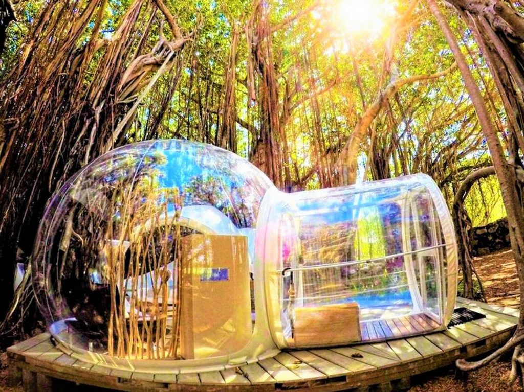 BUBBLE LODGE TOUR