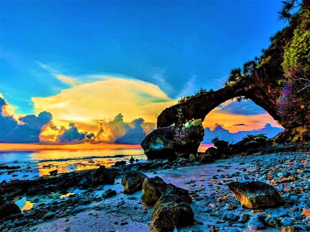 NEIL ISLAND
