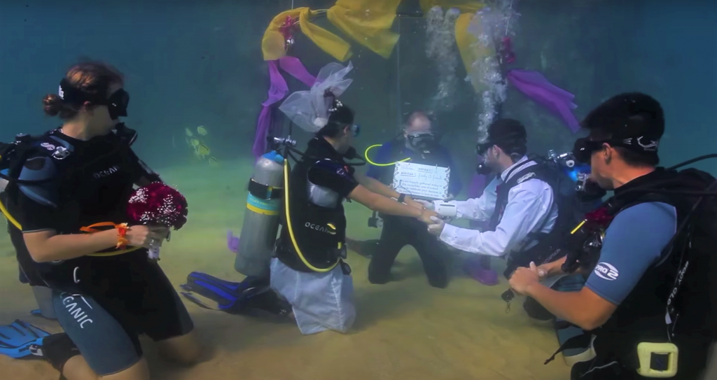 Taking the Plunge