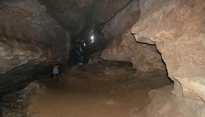 Alfred Caves