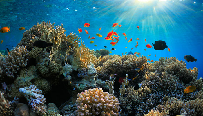 Don’ts at the Andaman Islands