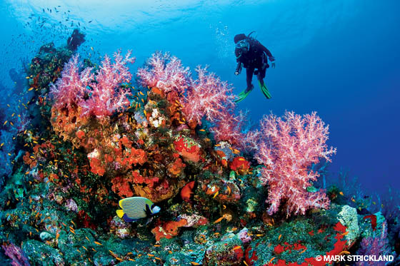 Safety precautions in Andaman for tourists