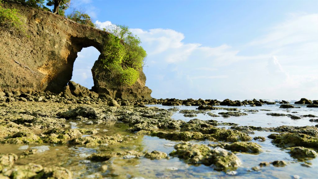 Places to Visit in Neil Island