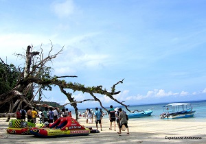 Elephant Beach