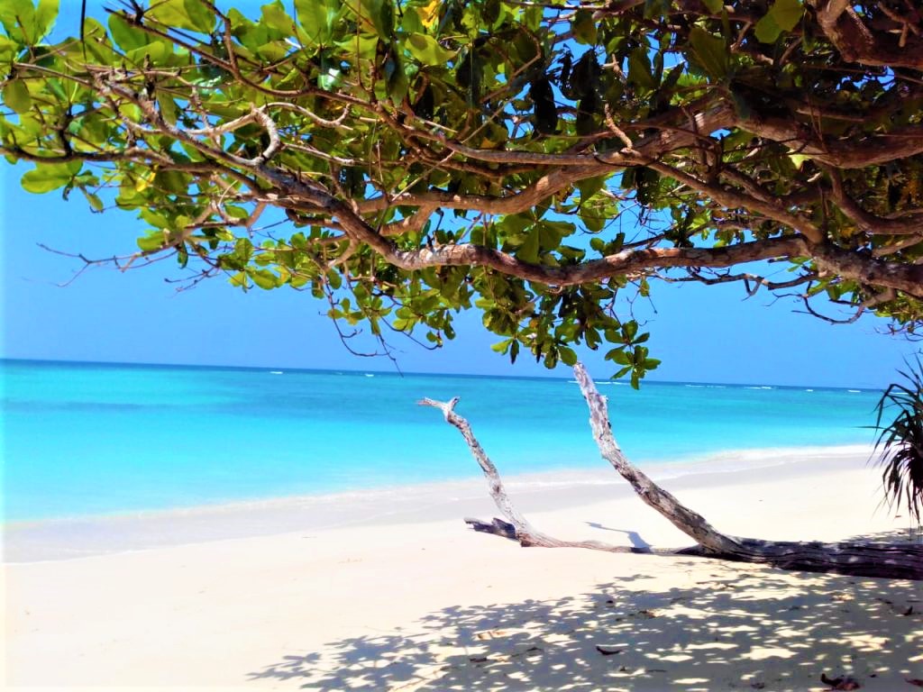 Kala Pathar Beach