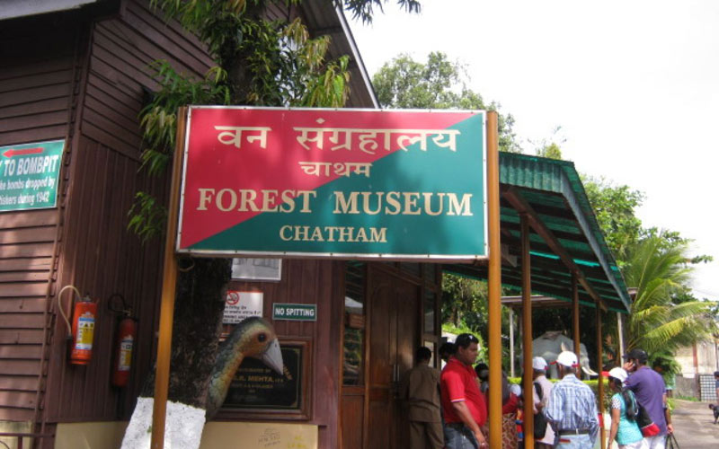 Forest Museum
