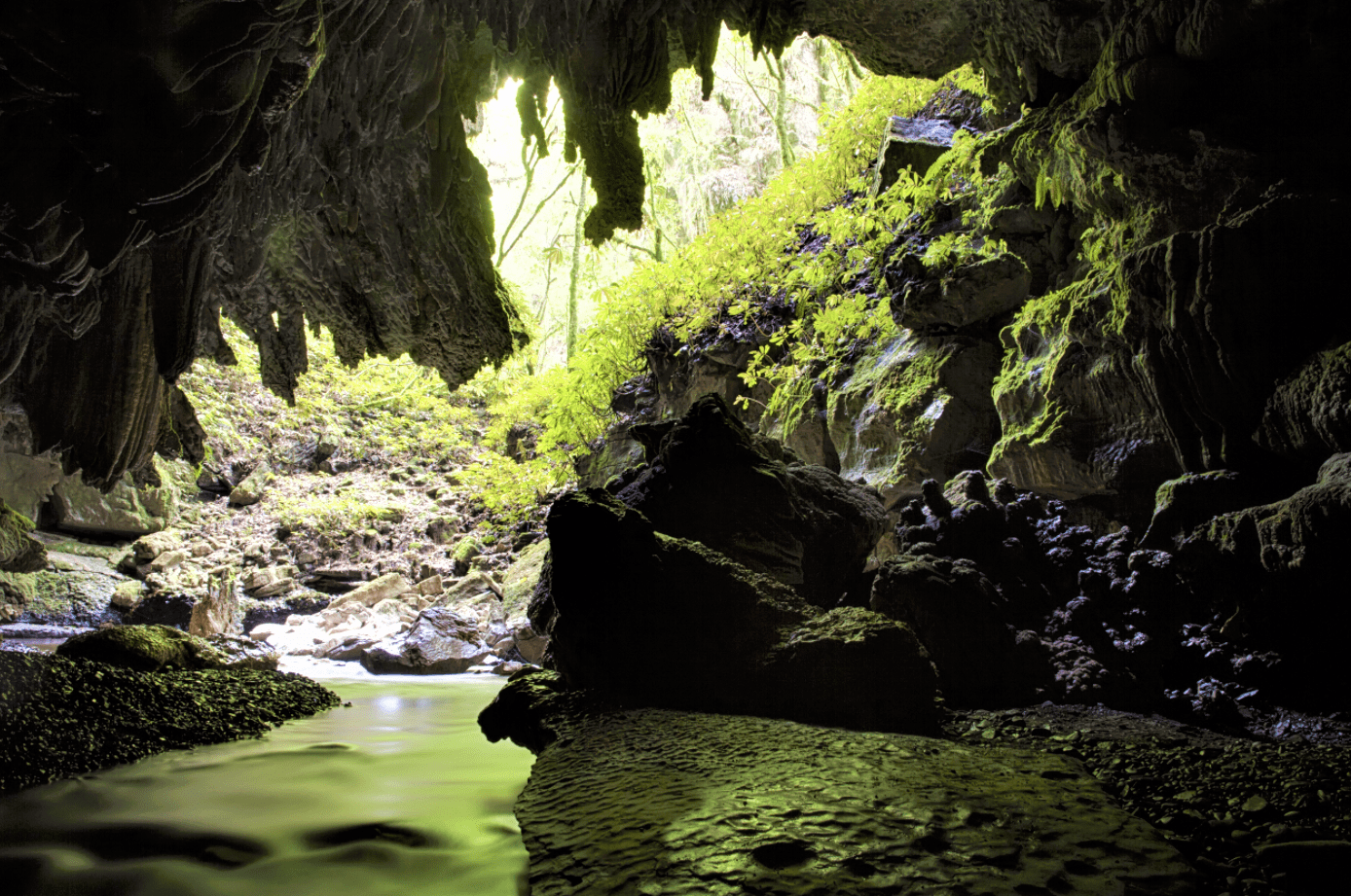 The Limestone Caves