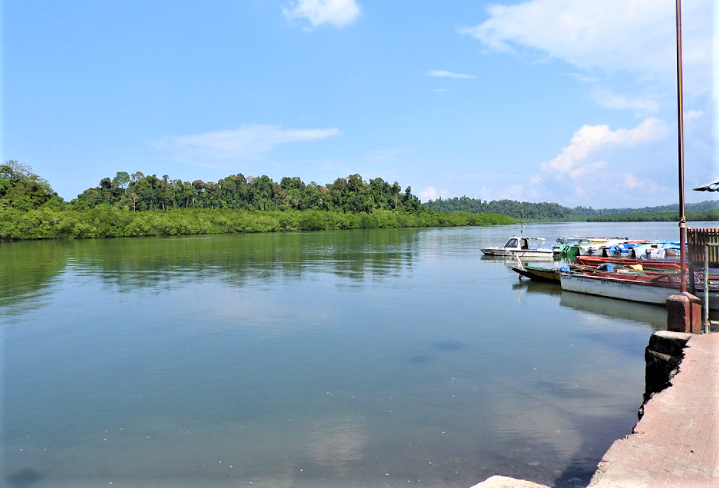 Baratang Island