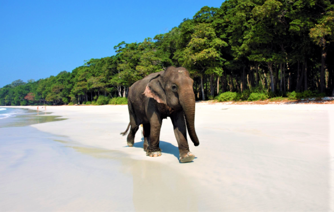 Havelock Island & Swaraj Dweep