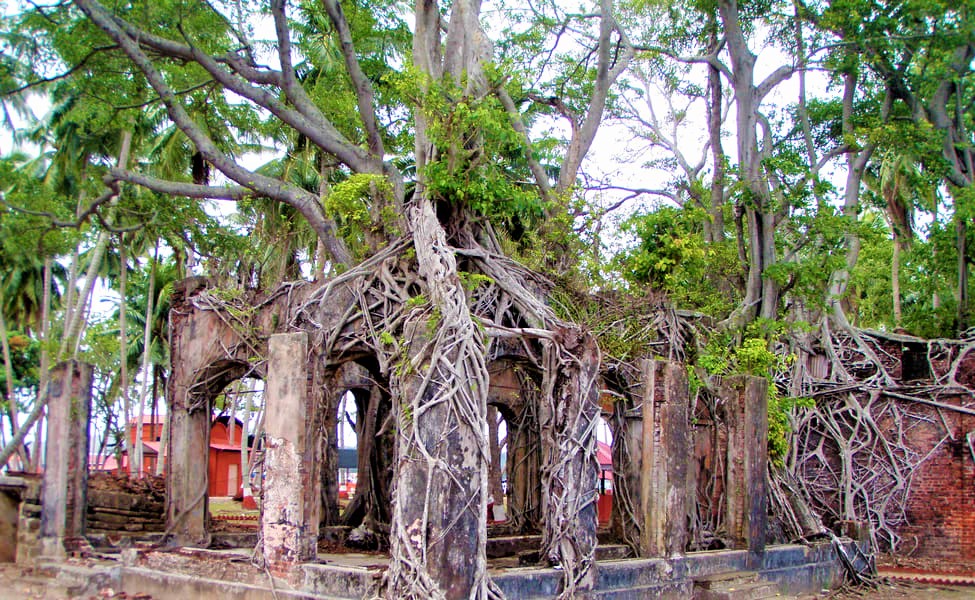 Ross Island