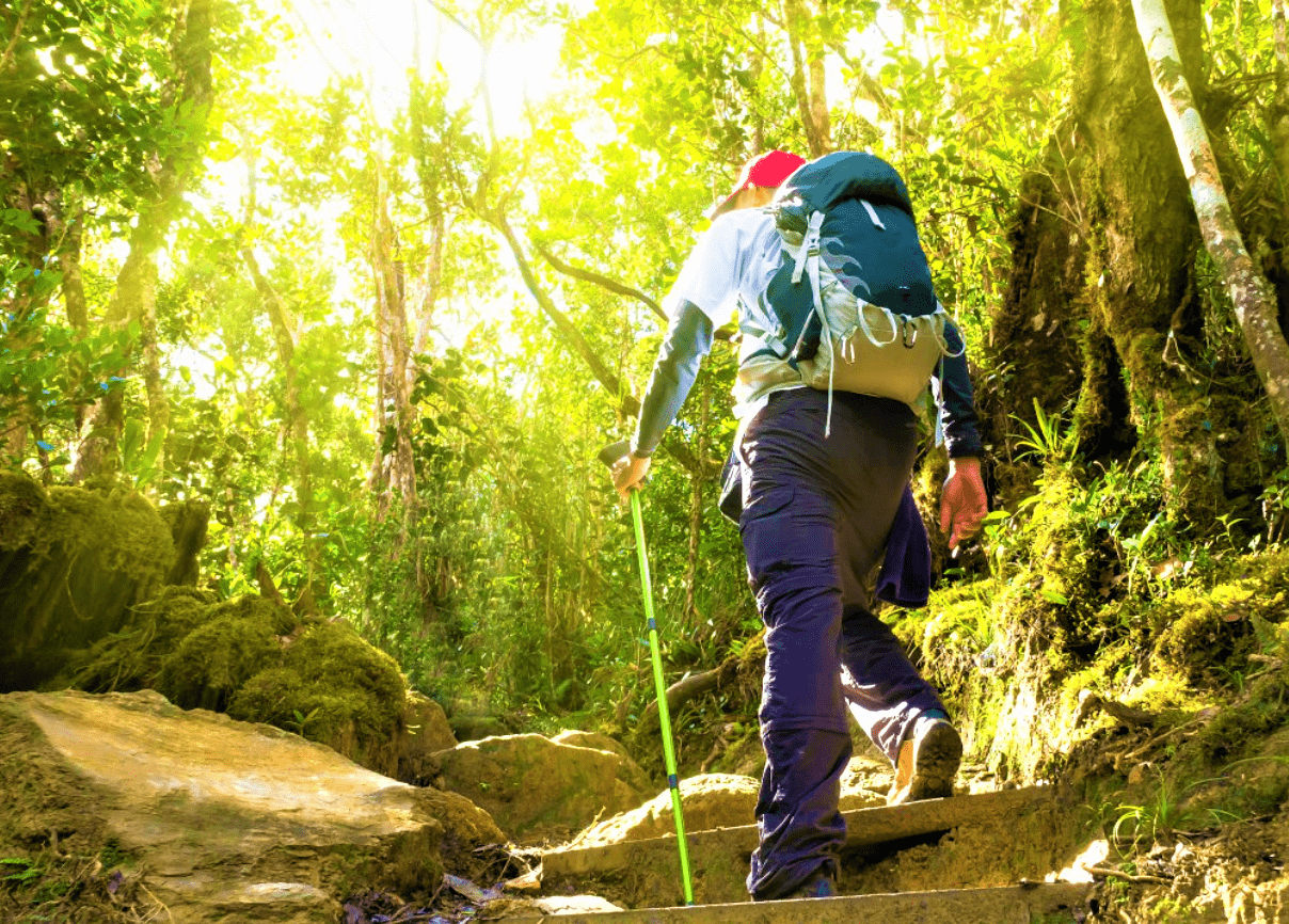 Saddle Peak National Park