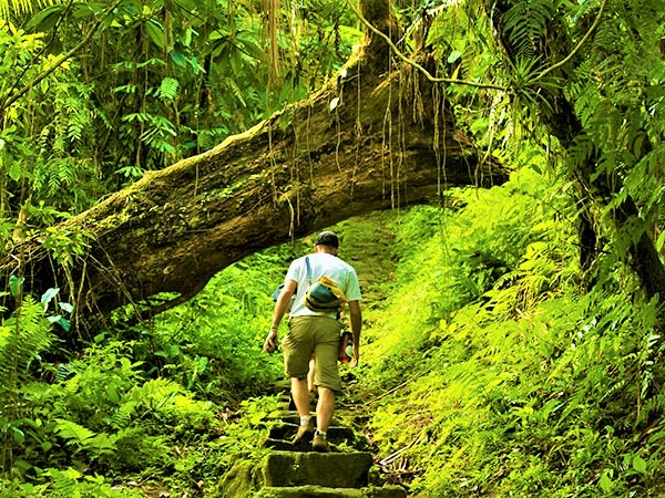  Trekking in Andaman Island