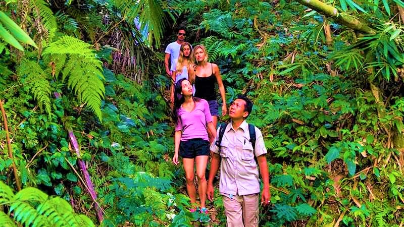 Why trek in Andaman?