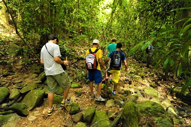 Lime Stone Caves at Baratang Island