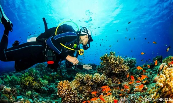 Diving in Barren Island