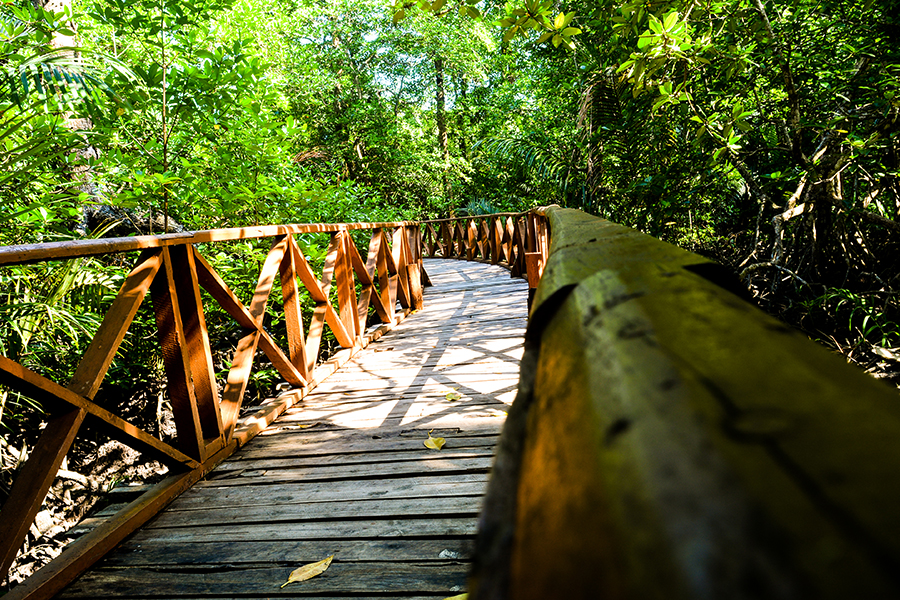 Highlights of Gandhi Park at Port Blair Highlights of Gandhi Park at Port Blair