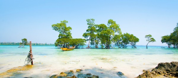 5 Reasons Why Ross & Smith Islands Must Be In Your Andamans Bucket List