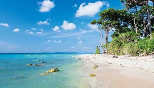 Andaman Tour Packages From Delhi