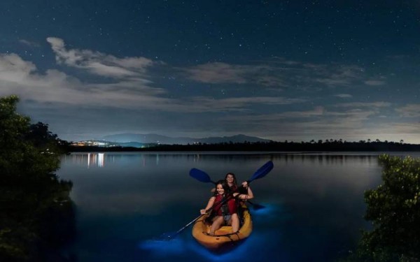 Bioluminescence Night Kayaking in Havelock Island