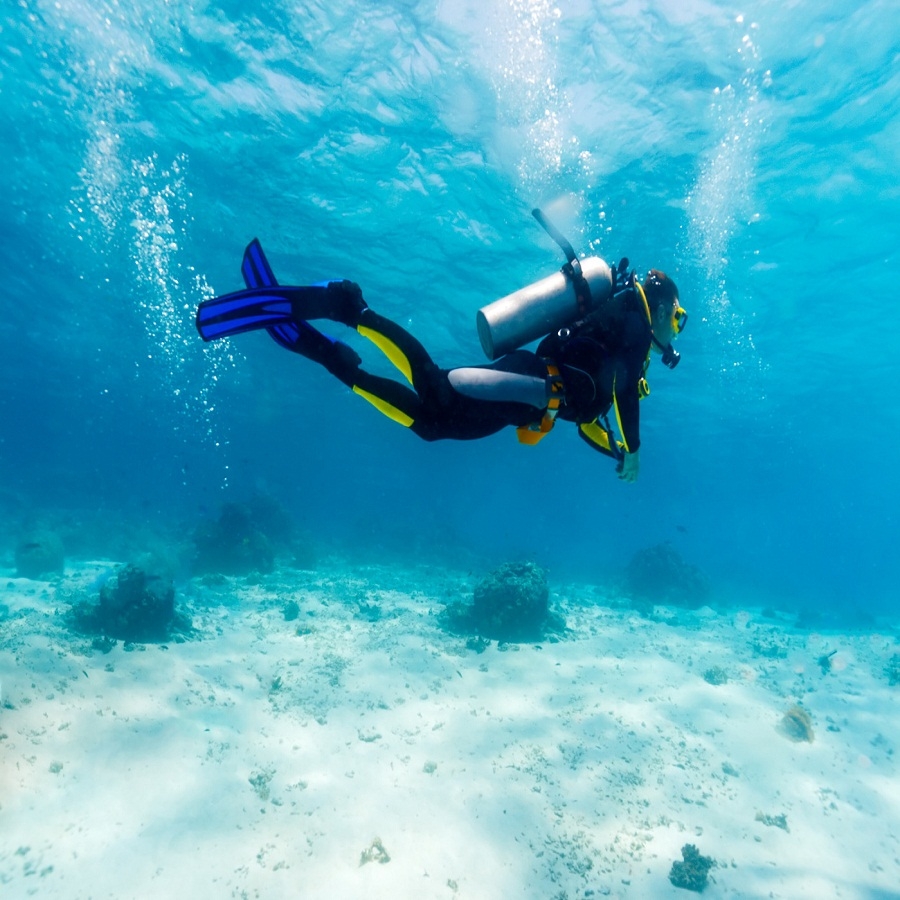 Try Scuba Diving in Havelock Island